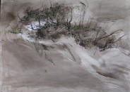 Sandd&uuml;nen